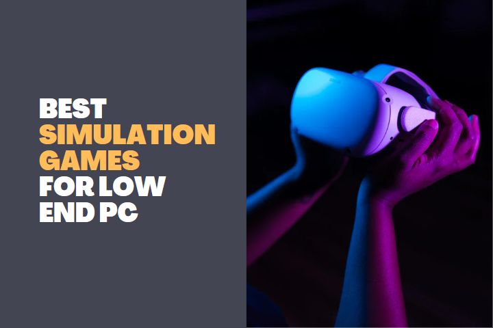 Best Simulation Games for Low End PC
